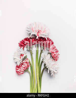 Mazzo di gerbere colorate margherite fiori sulla scrivania bianca, vista dall'alto con copia spazio. Può essere utilizzato per la festa della mamma , Womens il giorno del compleanno o di matrimonio. Messaggio di saluto Foto Stock