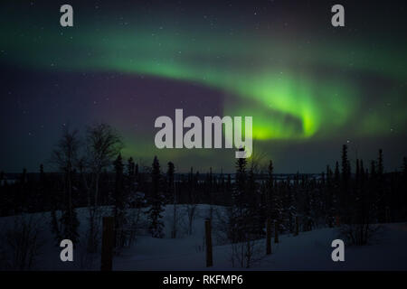 L'Aurora Boreale come visto dal di fuori di Yellowknife, Northwest Territories, Canada. Foto Stock