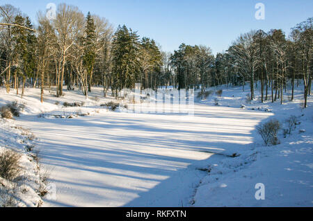 Beautiful frozen lake and forest in winter Foto Stock