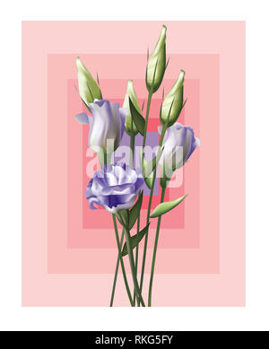 Bella viola Lisianthus con disegno quadrato sullo sfondo Foto Stock