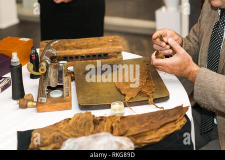 Processo di fabbricazione tradizionale di sigari da foglie di tabacco usando un dispositivo meccanico e premere. Le foglie di tabacco per produrre sigari. Foto Stock