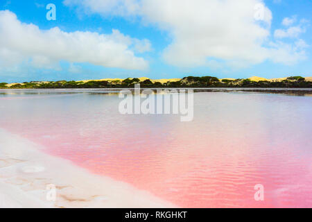 Di un bel colore rosa alghe nel lago Hillier in Western Australia, il suggestivo paesaggio. Famosa destinazione e landmark australiano. Foto Stock