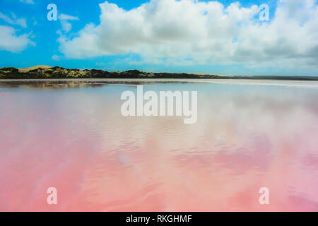 Splendida vista sopra il lago rosa Hillier in Western Australia, con nuvole e cielo blu, dune di sabbia che riflette nel morbido, acqua liscia. Foto Stock