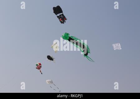 International Kite Festival-2019, Ahmedabad-India Foto Stock