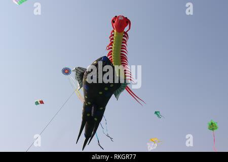 International Kite Festival-2019, Ahmedabad-India Foto Stock