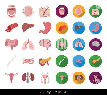 Anatomia,l'arte,boold,cervello,cartoon,appartamento,raccolta,design,malattia,eyeball,carne,,gastrointestinale la salute,cuore,uomo,icona,immagine,,interno isolato,rene,fegato,logo,polmoni,maschio, la medicina, bocca,muscolo,organo,pancreas,,riproduttiva impostare,segno,pelle,colonna vertebrale,stomaco,il simbolo,sistema,tratto,utero,vettore,nave,web, Vettori vettore , Illustrazione Vettoriale