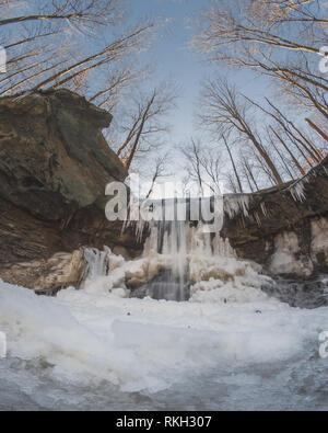 Blue hen cade in inverno Foto Stock