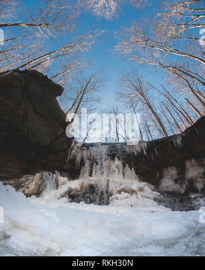 Blue hen cade in inverno Foto Stock