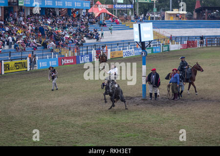 Festival de Doma y festival folcloristico di strappi broncos e folclore tradizionale musica, il più grande in Sud America, svoltasi a Gesù Maria Argentina. Foto Stock