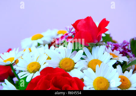Bouquet di chamomiles bianca rose rosse red dianthus barbatus. Delicato presente. I fiori di camomilla. Fiori estivi di close-up. Fioritura. In fiore Foto Stock