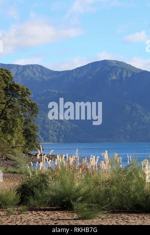 Il Cile, Lake District, Petrohue, Lago Todos Los Santos, Foto Stock