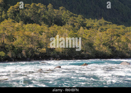 Il Cile, Lake District, Petrohue River, Foto Stock