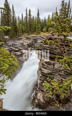 Cascata, Cascate Athabasca, Athabasca River, Icefields Parkway, il Parco Nazionale di Banff, Alberta, Canada Foto Stock