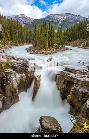 Cascata Sunwapta Falls, a Icefields Parkway, Sunwapta Fiume, Parco Nazionale di Jasper, montagne rocciose, Alberta, Canada Foto Stock