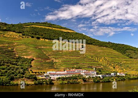 Cantina Quinta das Carvalhas sul fiume Douro, Alto Douro, Pinhao, Valle del Douro, Portogallo Foto Stock