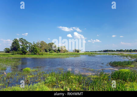 Flusso tributario del fiume Oder a Oderbruch, lande paesaggio vicino Oderberg, Brandeburgo nella Germania orientale Foto Stock