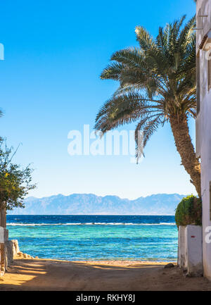 Costa del Mar Rosso, nel golfo di Aqaba, vicino a Dahab.Egitto Foto Stock