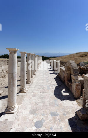 Il lato ovest di STOA (portico) del tardo romana Agora, Tripolis sul meandro, Yenicekent, Turchia. Foto Stock