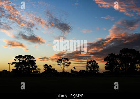 Adelaide, Australia. Xi Febbraio, 2019. Alberi di eucalipto stagliano contro un colorato tramonto estivo in Adelaide Australia Credit: amer ghazzal/Alamy Live News Foto Stock