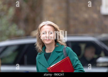 Londra 12 febbraio 2019, Liz Truss arriva in una riunione del gabinetto a 10 Downing Street, Londra Credit Ian Davidson/Alamy Live News Foto Stock