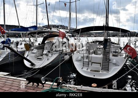 Izmir, Turchia. 28 gen, 2019. Un gatto randagio passeggiate passato barche di lusso ancorata in un porto turistico nella città vecchia. Credito: Altan Gocher | in tutto il mondo di utilizzo/dpa/Alamy Live News Foto Stock