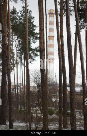 Il tubo con il fumo in bella foresta di inverno Foto Stock