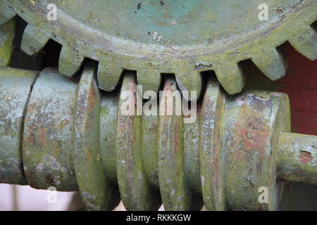 Ingranaggio elicoidale / un azionamento a vite senza fine è a disposizione degli ingranaggi in cui una vite senza fine ingrana con un ingranaggio a vite senza fine Foto Stock