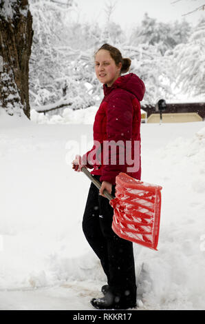 Giovane donna con un rivestimento di colore rosso e la pala è la pulizia di neve da storm iin inverno, Maine, Stati Uniti d'America Foto Stock