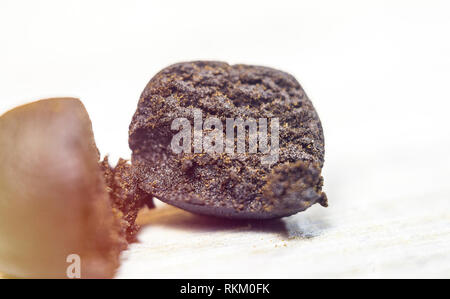 Macro di Cannabis hash di estratto di polline su bianco Foto Stock