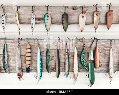 Colorato esche da pesca su una parete in legno. Attrezzature per la pesca. Foto Stock