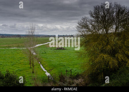 Verde paesaggio nelle pianure alluvionali del fiume sorraia, con mucche, alberi e cespugli, sotto un cielo drammatico Foto Stock