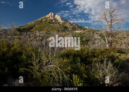 Cuyamaca Rancho del Parco Statale di San Diego County, California, Stati Uniti d'America Foto Stock