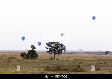 Panorama del Masai Mara al mattino. Mongolfiere sopra la savana. Kenya Foto Stock