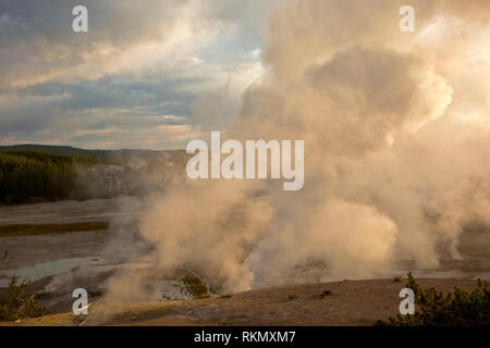 WY03426-00...WYOMING - Vapore passando da fumerals al bacino di porcellana nella fresca aria di prima mattina come il sole arriva fino al di sopra del Norris Geyser Basin ho Foto Stock