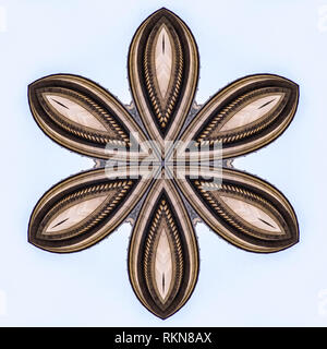 Sei arrotondata retro star forma Utah la capitale dello Stato. Caleidoscopio geometrica pattern sul mirroring di asse di simmetria di riflessione. Forme colorate come una parete Foto Stock