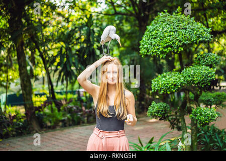 Giovane donna ibes di alimentazione nel parco. Garzetta airone guardabuoi Bubulcus ibis Waters Edge Foto Stock