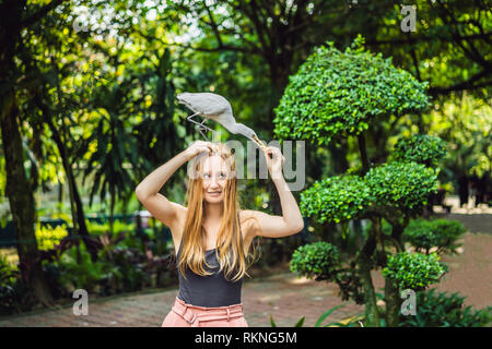 Giovane donna ibes di alimentazione nel parco. Garzetta airone guardabuoi Bubulcus ibis Waters Edge Foto Stock