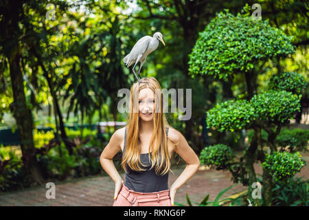 Giovane donna ibes di alimentazione nel parco. Garzetta airone guardabuoi Bubulcus ibis Waters Edge. Viziati acconciatura Foto Stock