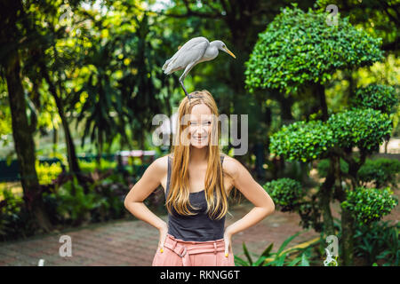 Giovane donna ibes di alimentazione nel parco. Garzetta airone guardabuoi Bubulcus ibis Waters Edge. Viziati acconciatura Foto Stock