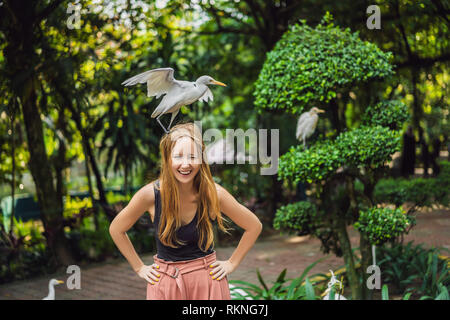 Giovane donna ibes di alimentazione nel parco. Garzetta airone guardabuoi Bubulcus ibis Waters Edge Foto Stock