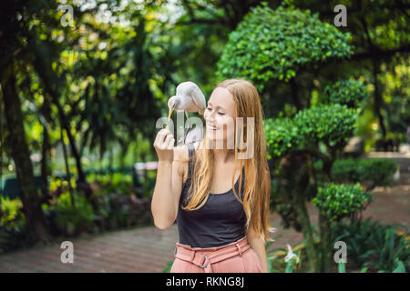 Giovane donna ibes di alimentazione nel parco. Garzetta airone guardabuoi Bubulcus ibis Waters Edge Foto Stock