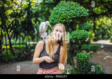 Giovane donna ibes di alimentazione nel parco. Garzetta airone guardabuoi Bubulcus ibis Waters Edge Foto Stock