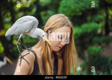 Giovane donna ibes di alimentazione nel parco. Garzetta airone guardabuoi Bubulcus ibis Waters Edge Foto Stock