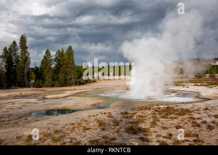 WY03432-00...WYOMING - una primavera calda nel Norris Geyser Basin nel Parco Nazionale di Yellowstone. Foto Stock