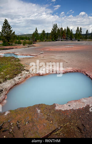 WY03446-00...WYOMING - Hot Springs lungo l'artista Paint Pots sentiero natura, una colorata area termale nel parco nazionale di Yellowstone. Foto Stock