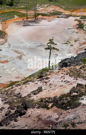 WY03449-00...WYOMING - colorato in massa l'artista Paint Pots, una zona termale nel parco nazionale di Yellowstone. Foto Stock