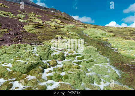 Il Perù in alta quota con motivi congelati verde muschio Foto Stock