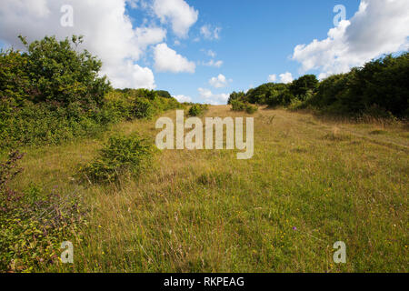 Broughton giù Hampshire e dell' Isola di Wight Wildlife Trust Reserve vicino a Broughton Hampshire Inghilterra UK Luglio 2016 Foto Stock