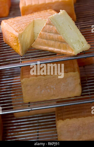 La stagionatura del formaggio Maroilles.Caption locale *** Foto Stock