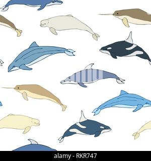 Modello senza giunture di fumetto di balene. Set di specie di balene su uno sfondo bianco. Illustrazione Vettoriale Illustrazione Vettoriale